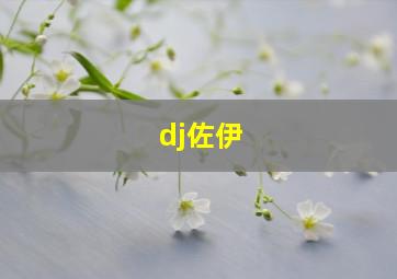 dj佐伊