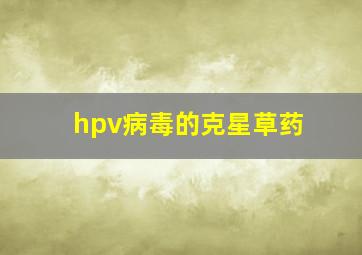 hpv病毒的克星草药