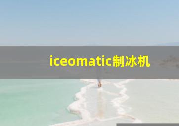 iceomatic制冰机