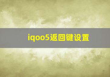 iqoo5返回键设置