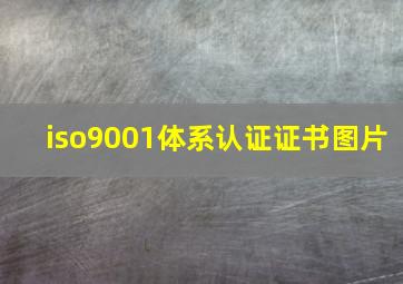 iso9001体系认证证书图片