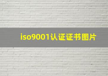 iso9001认证证书图片