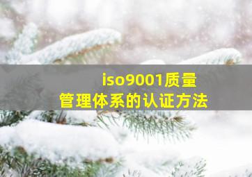 iso9001质量管理体系的认证方法