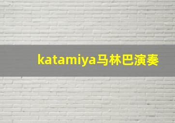 katamiya马林巴演奏