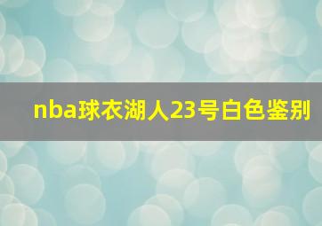 nba球衣湖人23号白色鉴别