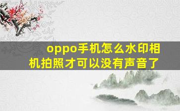 oppo手机怎么水印相机拍照才可以没有声音了