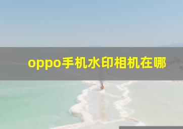 oppo手机水印相机在哪