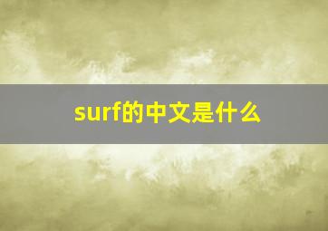 surf的中文是什么