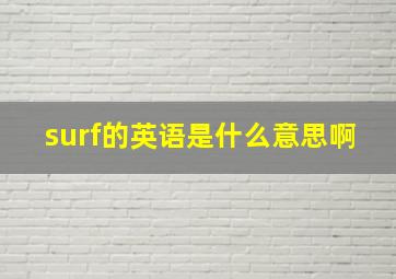 surf的英语是什么意思啊