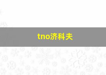 tno济科夫