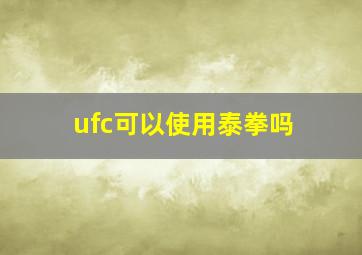 ufc可以使用泰拳吗