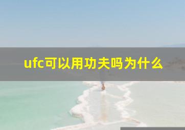 ufc可以用功夫吗为什么