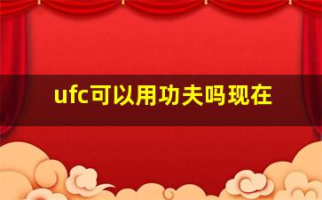 ufc可以用功夫吗现在