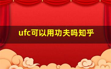 ufc可以用功夫吗知乎