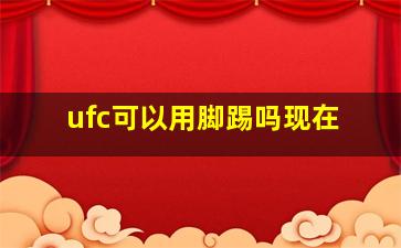 ufc可以用脚踢吗现在