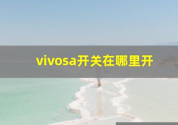 vivosa开关在哪里开