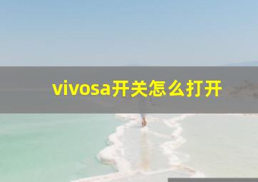 vivosa开关怎么打开