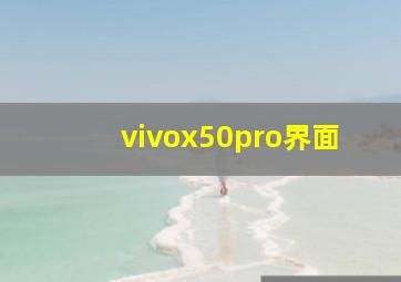 vivox50pro界面