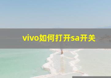 vivo如何打开sa开关