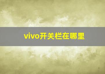 vivo开关栏在哪里