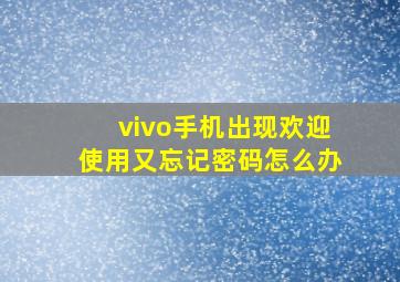 vivo手机出现欢迎使用又忘记密码怎么办