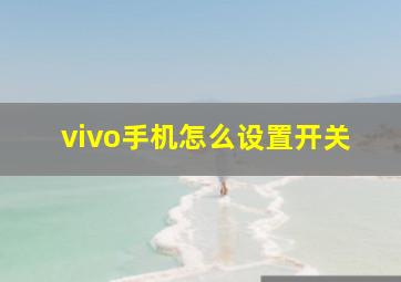 vivo手机怎么设置开关