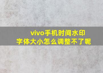 vivo手机时间水印字体大小怎么调整不了呢