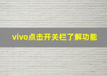 vivo点击开关栏了解功能