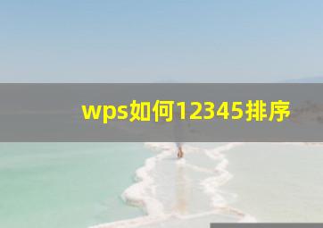 wps如何12345排序