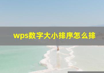 wps数字大小排序怎么排