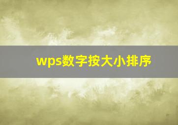 wps数字按大小排序