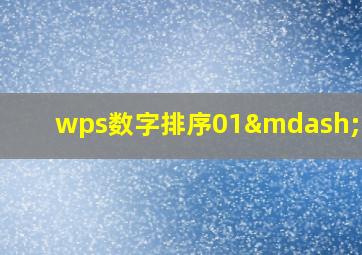 wps数字排序01—1000