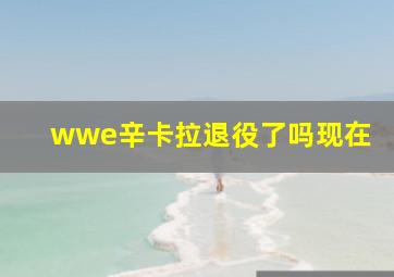 wwe辛卡拉退役了吗现在