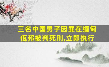 三名中国男子因罪在缅甸佤邦被判死刑,立即执行