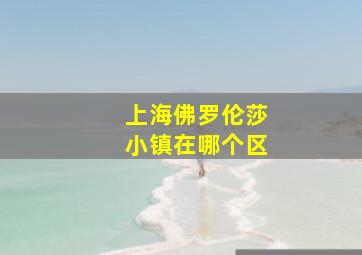 上海佛罗伦莎小镇在哪个区