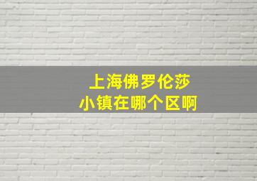 上海佛罗伦莎小镇在哪个区啊