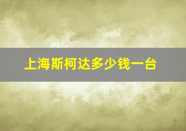 上海斯柯达多少钱一台