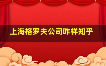 上海格罗夫公司咋样知乎