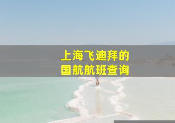 上海飞迪拜的国航航班查询