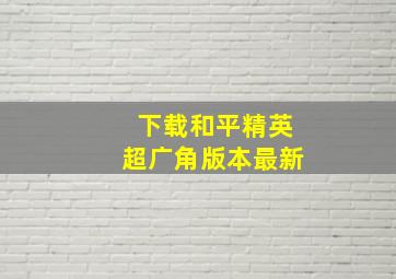 下载和平精英超广角版本最新