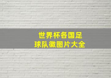 世界杯各国足球队徽图片大全