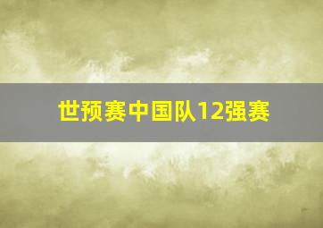 世预赛中国队12强赛