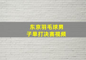 东京羽毛球男子单打决赛视频