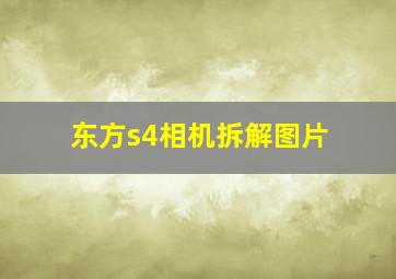 东方s4相机拆解图片