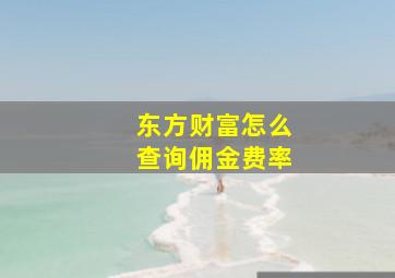 东方财富怎么查询佣金费率