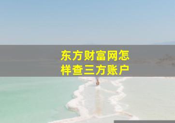 东方财富网怎样查三方账户