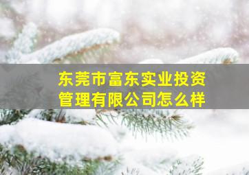 东莞市富东实业投资管理有限公司怎么样