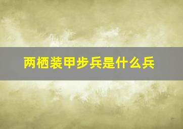 两栖装甲步兵是什么兵