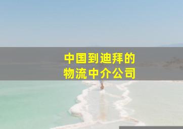 中国到迪拜的物流中介公司