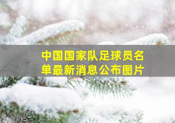 中国国家队足球员名单最新消息公布图片